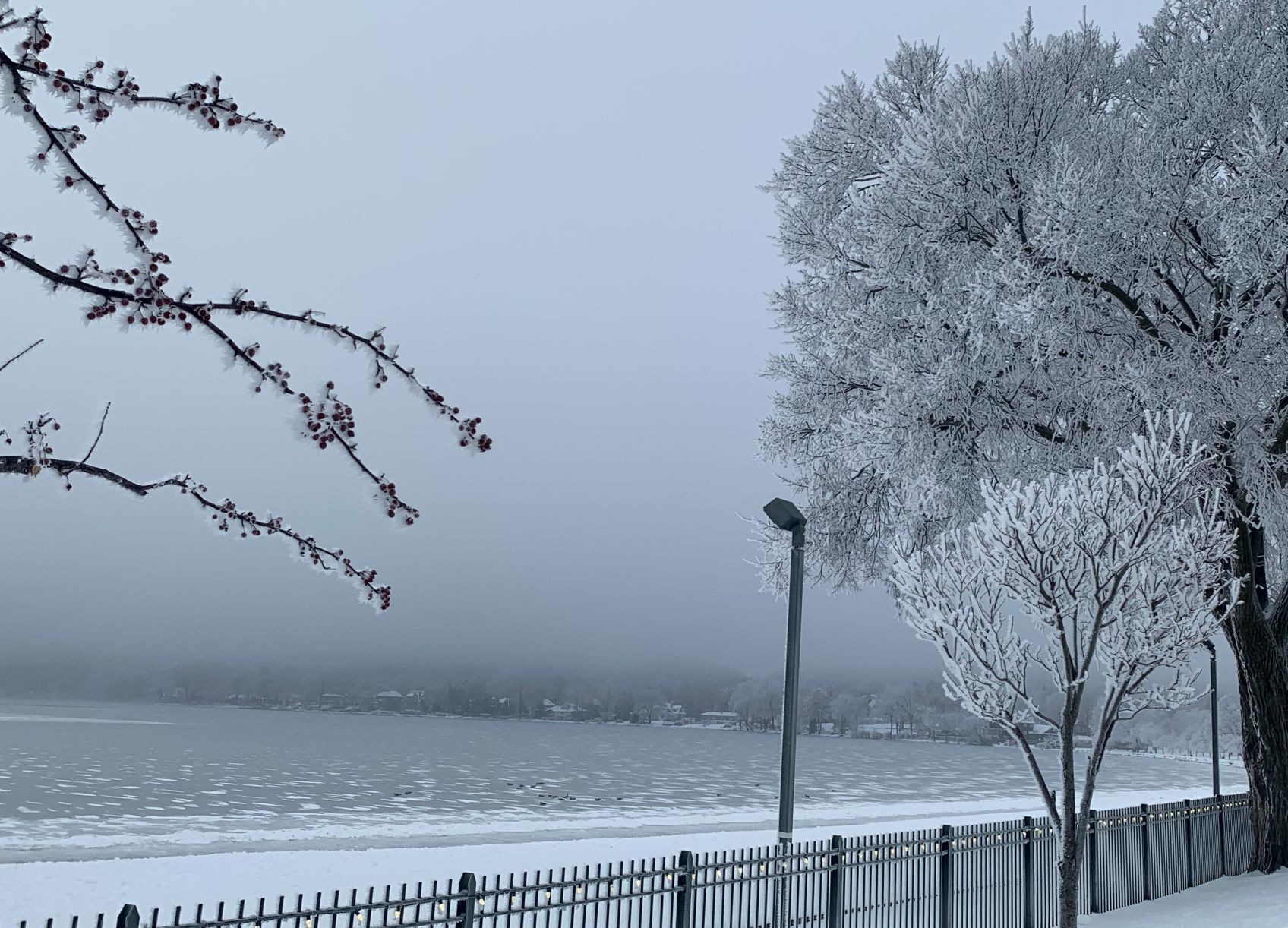 Lake Geneva frost along the lake